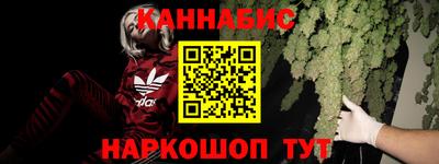прущие крисы Малгобек