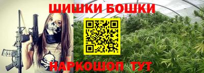 прущие крисы Малгобек