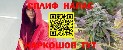 прущие грибы Малоярославец