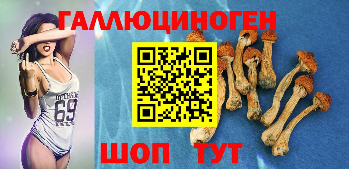 Чусовой  Галлюциногенные грибы Cubensis  магазин  наркотиков  Вход с VPN 